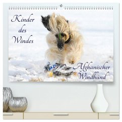Kinder des Windes - Afghanischer Windhund (hochwertiger Premium Wandkalender 2025 DIN A2 quer), Kunstdruck in Hochglanz