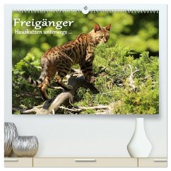 Freigänger - Hauskatzen unterwegs (hochwertiger Premium Wandkalender 2025 DIN A2 quer), Kunstdruck in Hochglanz - Calvendo;Schmäing, Werner