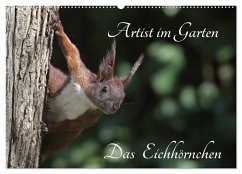Artist im Garten. Das Eichhörnchen (Wandkalender 2025 DIN A2 quer), CALVENDO Monatskalender