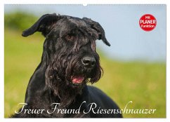 Treuer Freund Riesenschnauzer (Wandkalender 2025 DIN A2 quer), CALVENDO Monatskalender - Calvendo;Starick, Sigrid