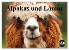 Alpakas und Lamas (Wandkalender 2025 DIN A4 quer), CALVENDO Monatskalender