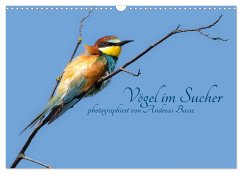 Vögel im Sucher (Wandkalender 2025 DIN A3 quer), CALVENDO Monatskalender