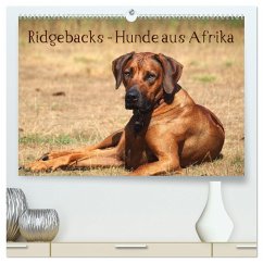 Ridgebacks - Hunde aus Afrika (hochwertiger Premium Wandkalender 2025 DIN A2 quer), Kunstdruck in Hochglanz