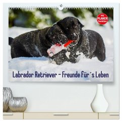 Labrador Retriever - Freunde für´s Leben (hochwertiger Premium Wandkalender 2025 DIN A2 quer), Kunstdruck in Hochglanz
