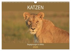 Katzen - Begegnungen in Afrika (Wandkalender 2025 DIN A3 quer), CALVENDO Monatskalender - Calvendo;Herzog, Michael