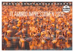 Flamingo Impressionen 2025 (Tischkalender 2025 DIN A5 quer), CALVENDO Monatskalender - Calvendo;Gerlach, Ingo