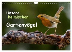 Unsere heimischen Gartenvögel (Wandkalender 2025 DIN A4 quer), CALVENDO Monatskalender