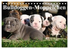 Bulldoggen-Moppelchen (Tischkalender 2025 DIN A5 quer), CALVENDO Monatskalender