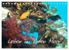Leben im Roten Meer (Tischkalender 2025 DIN A5 quer), CALVENDO Monatskalender