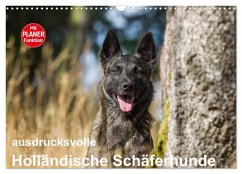 ausdrucksvolle Holländische Schäferhunde (Wandkalender 2025 DIN A3 quer), CALVENDO Monatskalender - Calvendo;Verena Scholze, Fotodesign