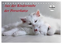 Aus der Kinderstube der Perserkatze (Tischkalender 2025 DIN A5 quer), CALVENDO Monatskalender