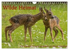 Wilde Heimat (Wandkalender 2025 DIN A4 quer), CALVENDO Monatskalender