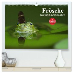 Frösche. Quakend durchs Leben (hochwertiger Premium Wandkalender 2025 DIN A2 quer), Kunstdruck in Hochglanz - Calvendo;Stanzer, Elisabeth