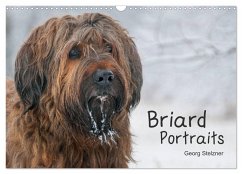 Briard Portraits (Wandkalender 2025 DIN A3 quer), CALVENDO Monatskalender