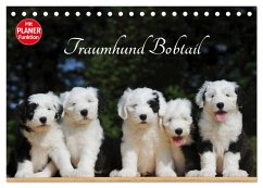 Traumhund Bobtail (Tischkalender 2025 DIN A5 quer), CALVENDO Monatskalender - Calvendo;Starick, Sigrid