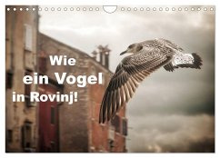 Wie ein Vogel in Rovinj! (Wandkalender 2025 DIN A4 quer), CALVENDO Monatskalender