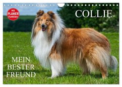 Collie - Mein bester Freund (Wandkalender 2025 DIN A4 quer), CALVENDO Monatskalender