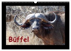 Büffel (Wandkalender 2025 DIN A3 quer), CALVENDO Monatskalender