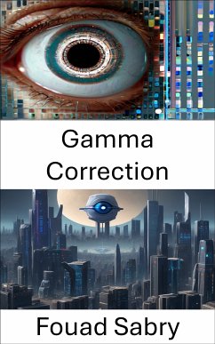 Gamma Correction (eBook, ePUB) - Sabry, Fouad
