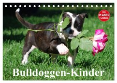 Bulldoggen-Kinder (Tischkalender 2025 DIN A5 quer), CALVENDO Monatskalender - Calvendo;Stanzer, Elisabeth