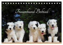 Traumhund Bobtail (Tischkalender 2025 DIN A5 quer), CALVENDO Monatskalender
