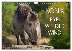 Konik - Frei geboren (Wandkalender 2025 DIN A4 quer), CALVENDO Monatskalender