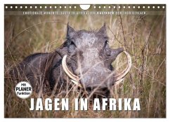 Emotionale Momente: Jagen in Afrika. (Wandkalender 2025 DIN A4 quer), CALVENDO Monatskalender