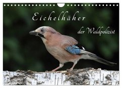Eichelhäher der Waldpolizist (Wandkalender 2025 DIN A4 quer), CALVENDO Monatskalender - Calvendo;Konieczka, Klaus