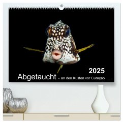 Abgetaucht - an den Küsten vor Curaçao (hochwertiger Premium Wandkalender 2025 DIN A2 quer), Kunstdruck in Hochglanz