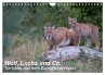 Wolf, Luchs und Co. - Tierbilder aus... - Bild 1