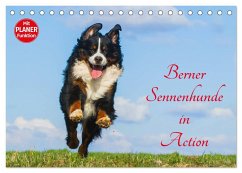 Berner Sennenhunde in Action (Tischkalender 2025 DIN A5 quer), CALVENDO Monatskalender