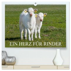 Ein Herz für Rinder (hochwertiger Premium Wandkalender 2025 DIN A2 quer), Kunstdruck in Hochglanz