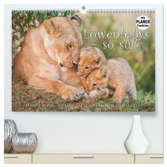 Emotionale Momente: Löwenbabys - so süß. (hochwertiger Premium Wandkalender 2025 DIN A2 quer), Kunstdruck in Hochglanz