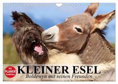 Kleiner Esel. Boldewyn mit seinen Freunden (Wandkalender 2025 DIN A4 quer), CALVENDO Monatskalender - Calvendo;Stanzer, Elisabeth