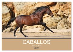 Caballos Spanische Pferde 2025 (Wandkalender 2025 DIN A2 quer), CALVENDO Monatskalender