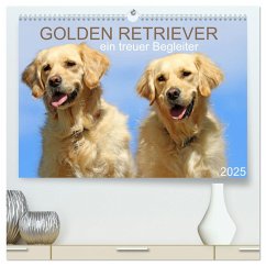 Golden Retriever ein treuer Begleiter (hochwertiger Premium Wandkalender 2025 DIN A2 quer), Kunstdruck in Hochglanz