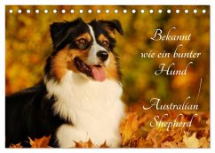 Bekannt wie ein bunter Hund. Australian Shepherd (Tischkalender 2025 DIN A5 quer), CALVENDO Monatskalender