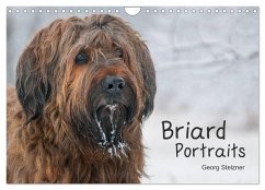 Briard Portraits (Wandkalender 2025 DIN A4 quer), CALVENDO Monatskalender