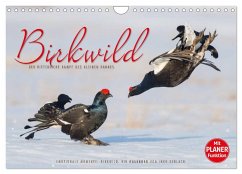 Emotionale Momente: Birkwild (Wandkalender 2025 DIN A4 quer), CALVENDO Monatskalender