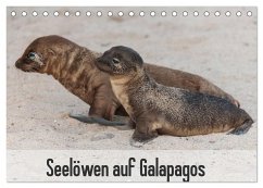 Seelöwen auf Galapagos (Tischkalender 2025 DIN A5 quer), CALVENDO Monatskalender