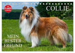 Collie - Mein bester Freund (Tischkalender 2025 DIN A5 quer), CALVENDO Monatskalender