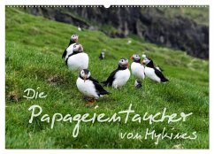 Die Papageientaucher von Mykines (Wandkalender 2025 DIN A2 quer), CALVENDO Monatskalender