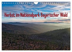 Herbst im Nationalpark Bayerischer Wald (Wandkalender 2025 DIN A4 quer), CALVENDO Monatskalender