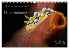 Unterwasserwelt Nacktschnecken (Wandkalender 2025 DIN A3 quer), CALVENDO Monatskalender - Calvendo;Oldani, Dorothea