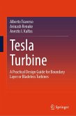 Tesla Turbine (eBook, PDF)