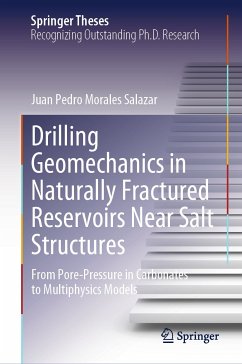 Drilling Geomechanics in Naturally Fractured Reservoirs Near Salt Structures (eBook, PDF) - Morales Salazar, Juan Pedro