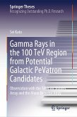 Gamma Rays in the 100 TeV Region from Potential Galactic PeVatron Candidates (eBook, PDF)