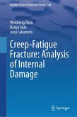 Creep-Fatigue Fracture: Analysis of Internal Damage (eBook, PDF)