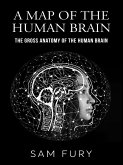 A Map of the Human Brain (eBook, ePUB) A Map of the Human Brain (eBook, ePUB)