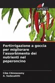 Fertirrigazione a goccia per migliorare l'assorbimento dei nutrienti nel peperoncino